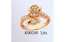 К00248