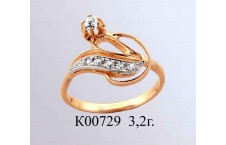 К00729