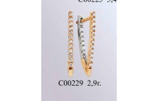 С00229
